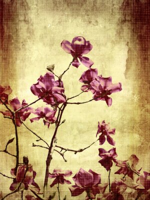 Fotobehang Retro paarse bloem op een verouderde achtergrond
