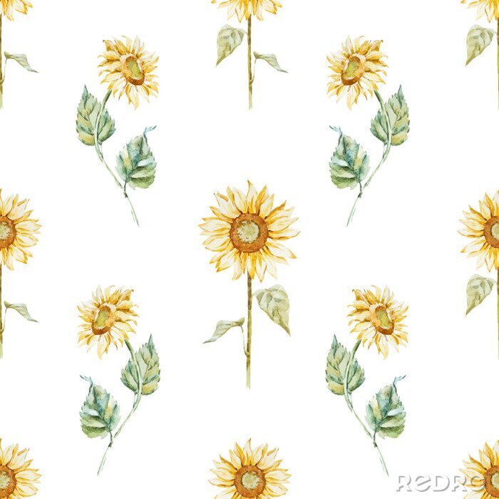 Fotobehang Retro zonnebloemen op een witte achtergrond