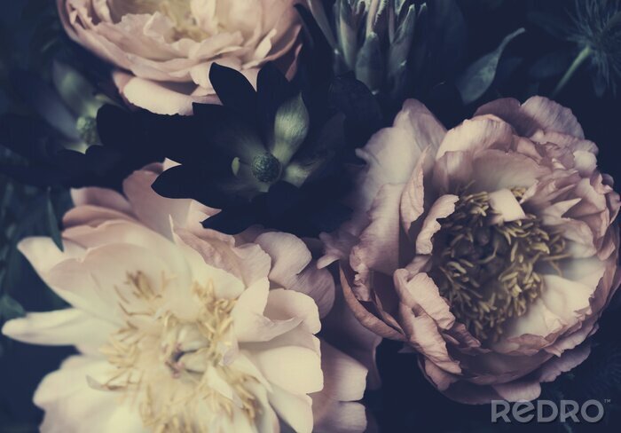Fotobehang Retrofotografie met pioenrozen
