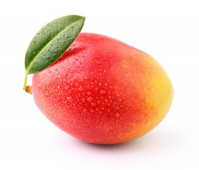 Fotobehang Rijpe mango fruit