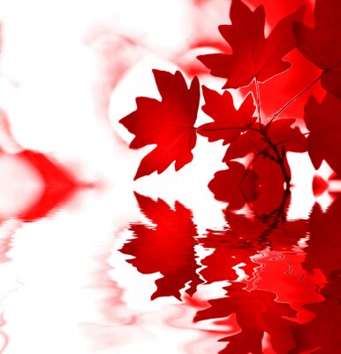 Fotobehang Rode bladeren als de natuur