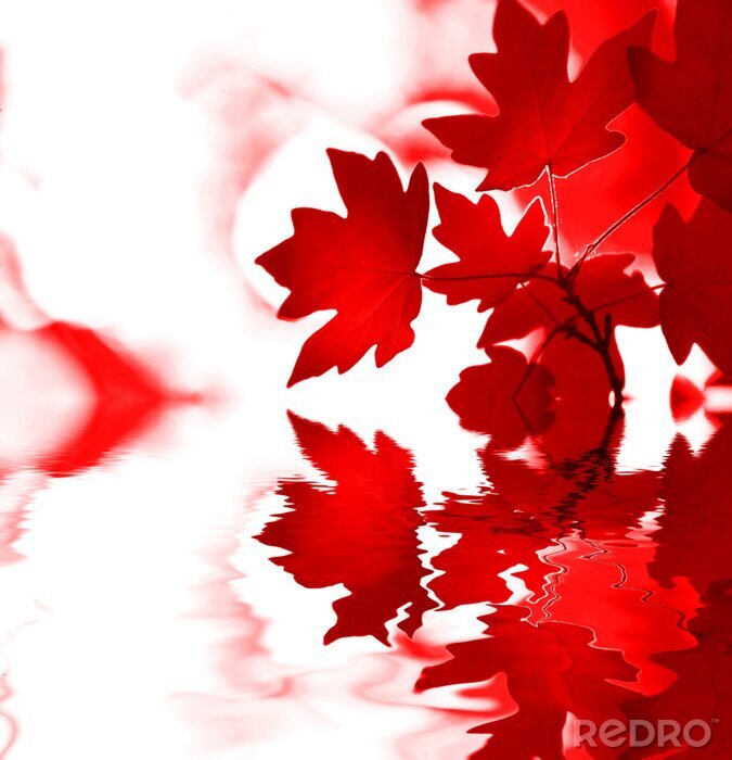 Fotobehang Rode bladeren als de natuur