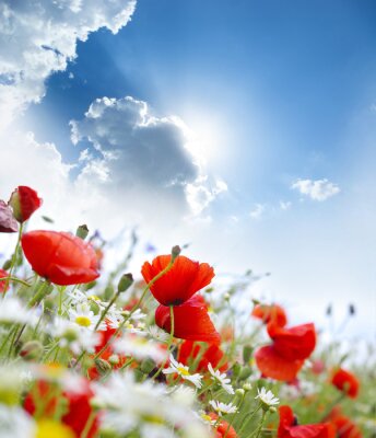 Fotobehang Rode bloemen en wolken