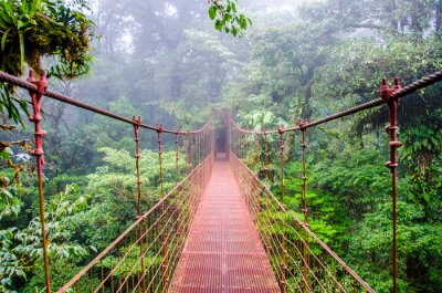Fotobehang Rode brug in Costa Rica