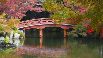 Fotobehang Rode brug in een Japanse tuin