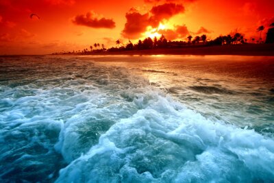 Fotobehang Rode lucht en blauwe zee