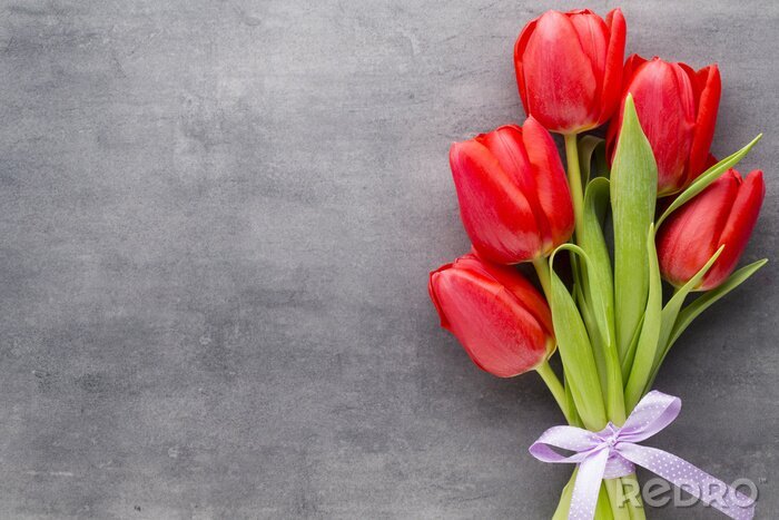 Fotobehang Rode tulpen op beton