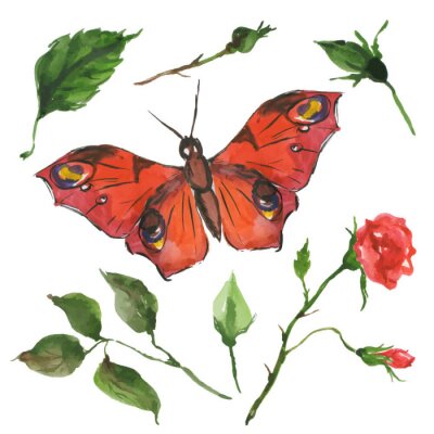 Fotobehang Rode vlinder en roos