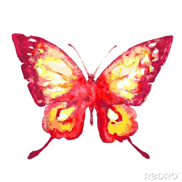 Fotobehang Rode vlinder in aquarel