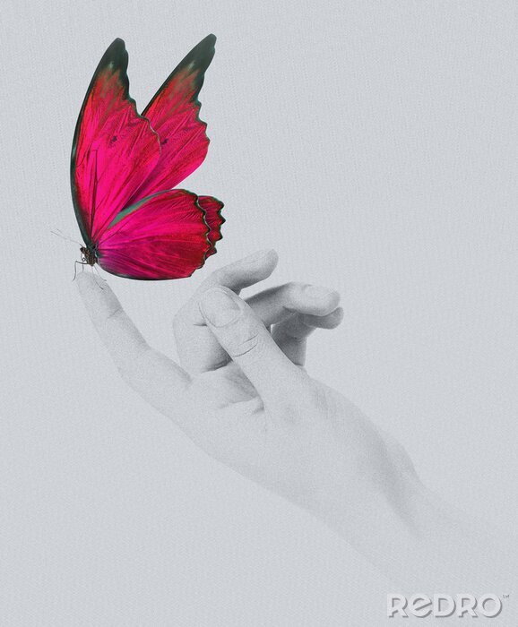 Fotobehang Rode vlinder zittend op handpalm