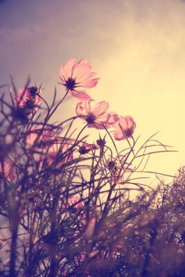Fotobehang Romantisch uitzicht met bloemen