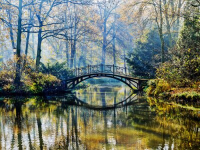 Fotobehang Romantische brug in een herfstpark