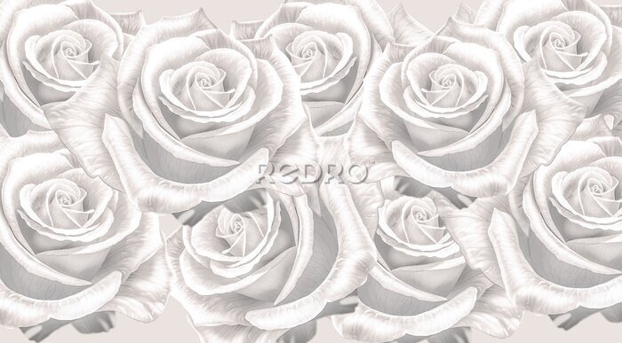 Fotobehang Romantische florale achtergrond als een witte roos