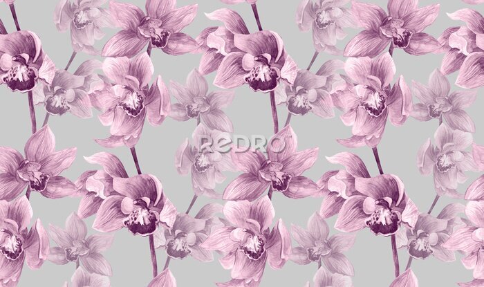 Fotobehang Romantische roze orchidee
