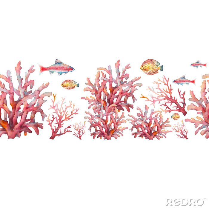 Fotobehang Rood koraalrif en vissen