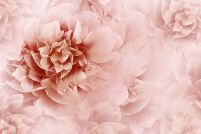 Fotobehang Roze abstracte pioen