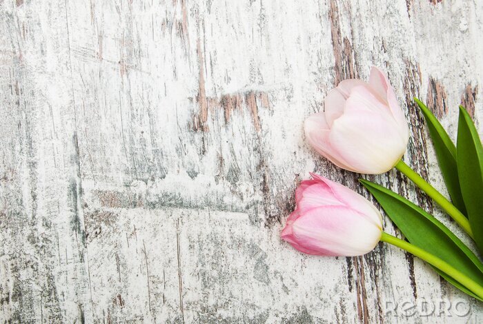 Fotobehang Roze bloemen en hout