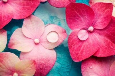 Fotobehang Roze bloemen en waterdruppels