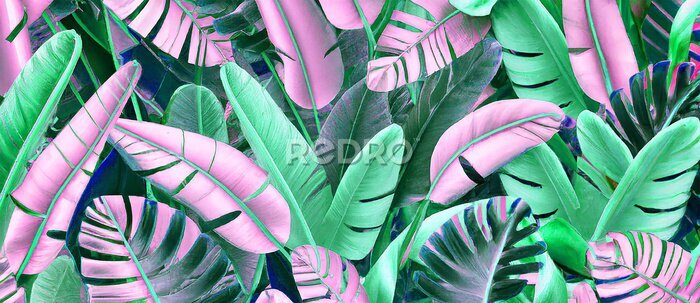 Fotobehang Roze en groene jungle bladeren