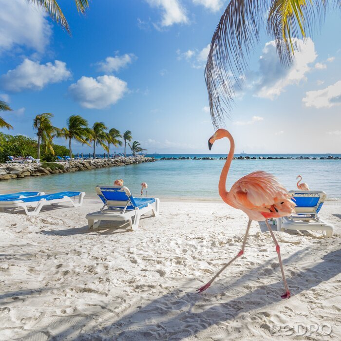 Fotobehang Roze flamingo op het strand
