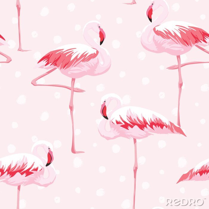 Fotobehang Roze flamingo's en witte stippen