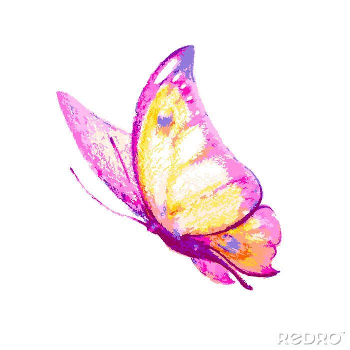Fotobehang Roze-gele vlinder in beweging