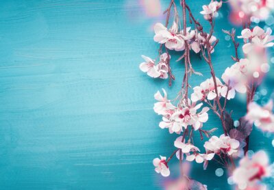 Roze lentetakjes op een blauwe achtergrond