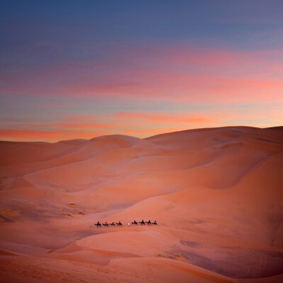 Fotobehang Roze lucht boven de woestijn