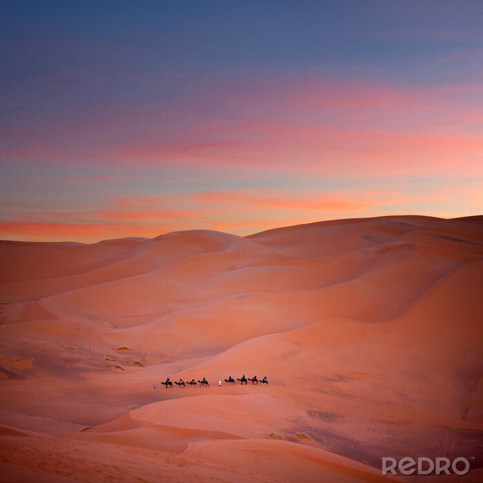Fotobehang Roze lucht boven de woestijn