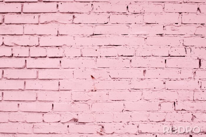 Fotobehang Roze muur