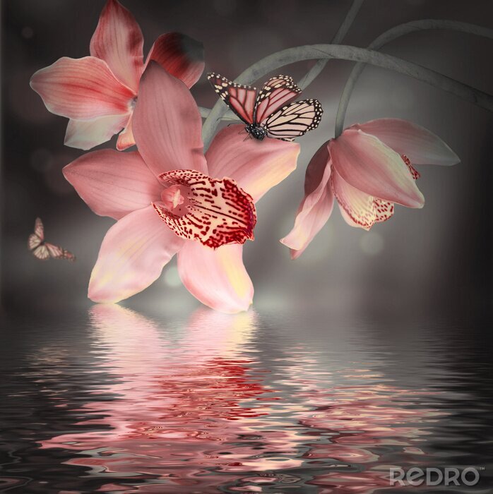 Fotobehang Roze orchideeën en pastelkleurige vlinders
