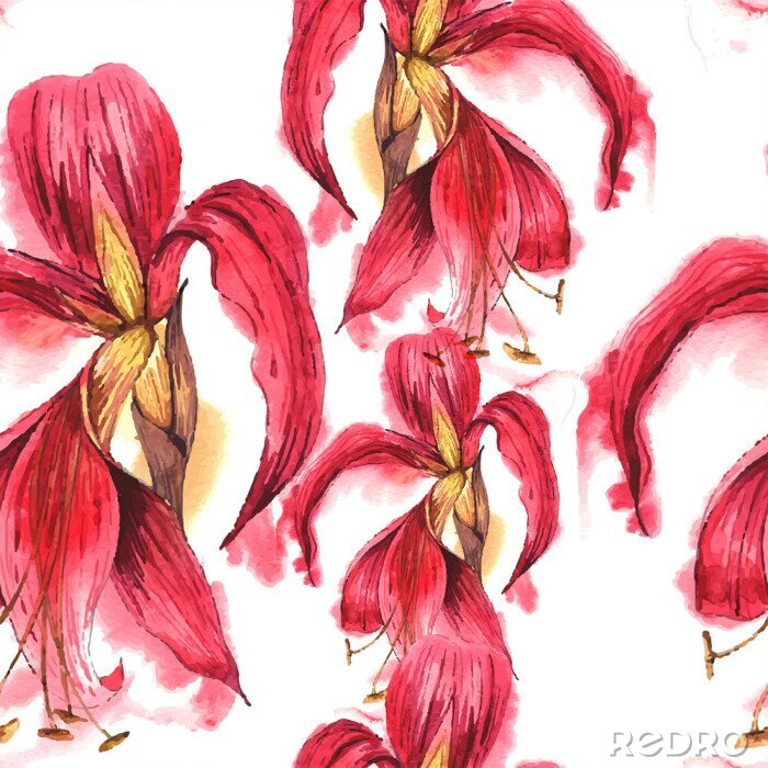 Fotobehang Roze orchideeën in aquarel versie
