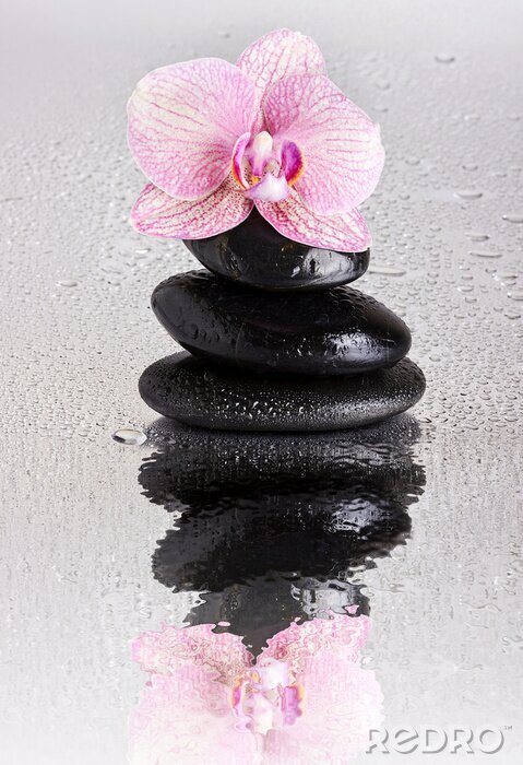 Fotobehang Roze orchideeën steentjes en waterdruppels