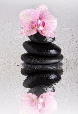Fotobehang Roze orchideeën steentjes en waterdruppels