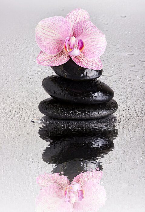 Fotobehang Roze orchideeën steentjes en waterdruppels