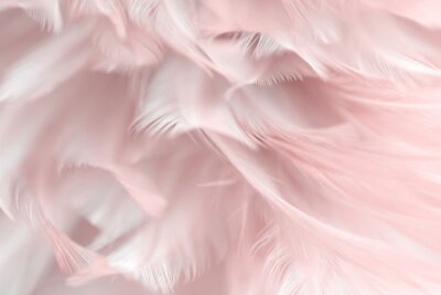 Fotobehang Roze pluizige veren