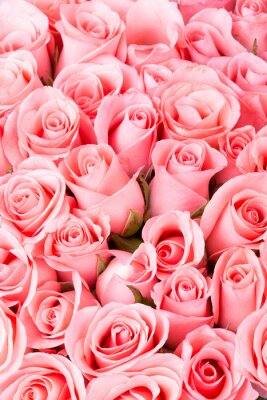 Fotobehang Roze rozen in een boeket