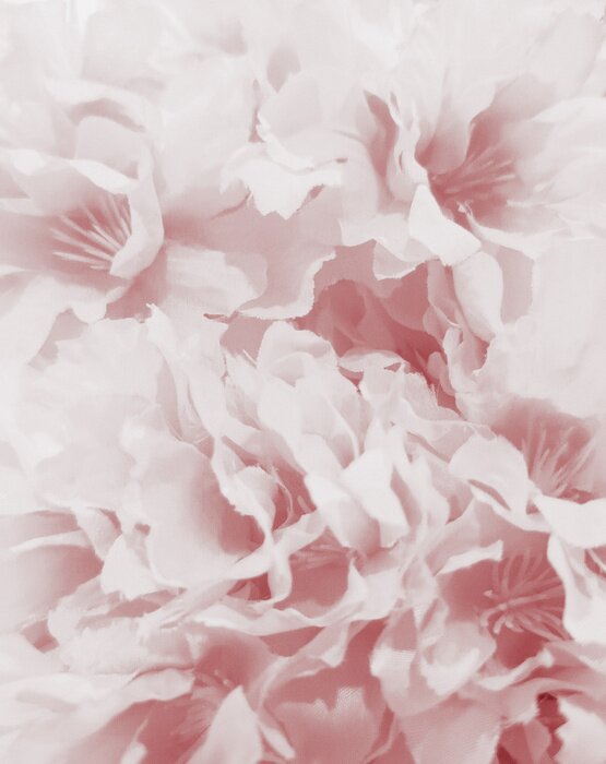 Fotobehang Roze vintage pioenrozen