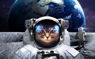 Ruimte gevangen door een kattenastronaut