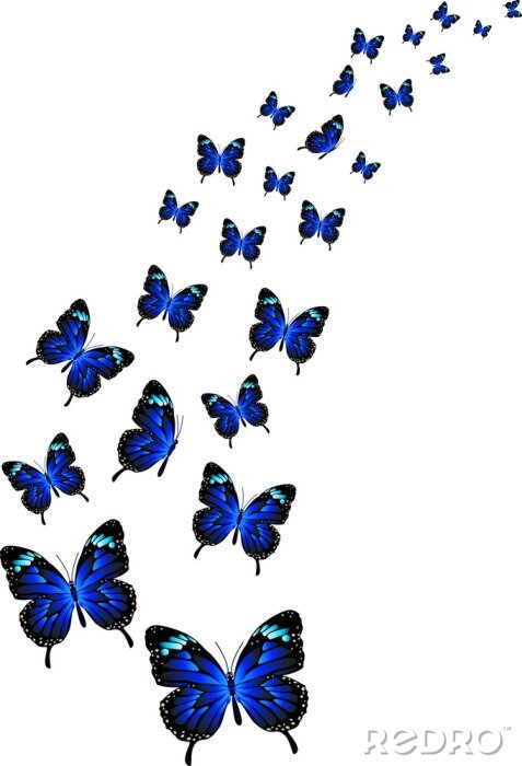 Fotobehang Ruimtelijke illustratie met vlinders