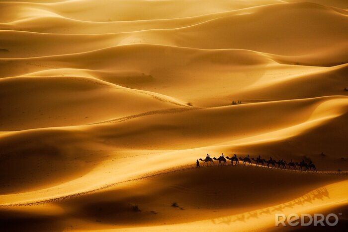 Fotobehang Sahara woestijn