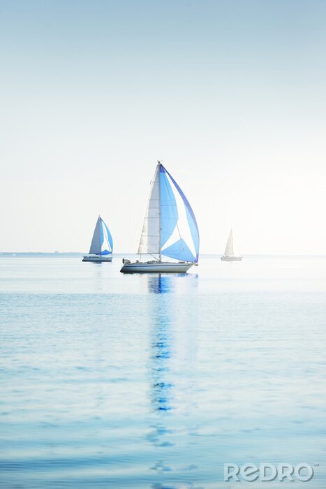 Fotobehang Sailing yacht regatta. Modern sailboats racing with blue spinnaker sails. Clear summer day. Kiel, Germany. Sport and recreation, transportation, private wessel, vacations