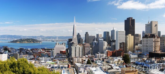 Fotobehang San Francisco aan de skyline