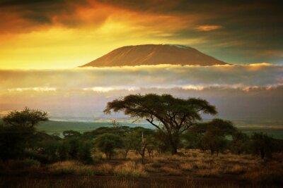 Fotobehang Savanne en Kilimanjaro tussen de wolken