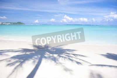 Fotobehang Schaduw van een palmboom op het strand