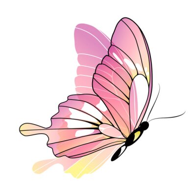 Fotobehang Schattige roze vlinder