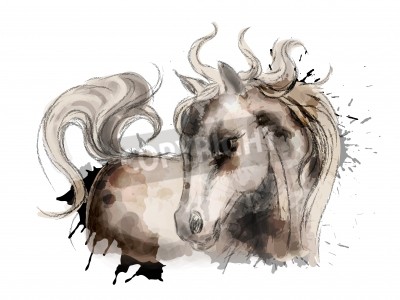 Fotobehang Schets van een paard in aquarel