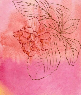 Fotobehang Schets van een roos en bladeren