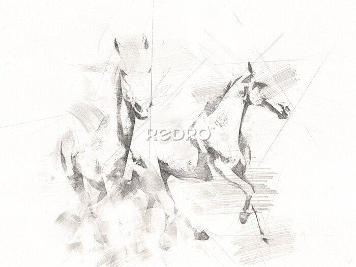 Fotobehang Schets van rennende paarden
