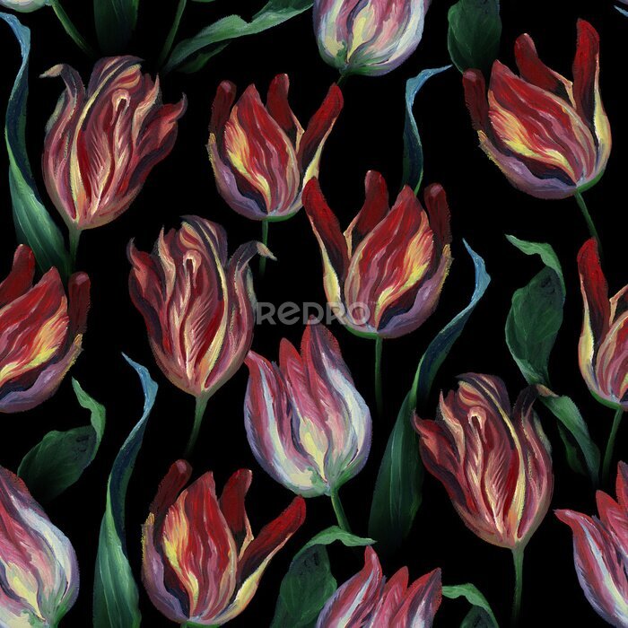 Fotobehang Schilderachtige tulpen op zwarte achtergrond